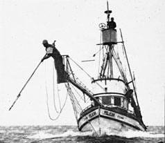 photo of Swordfishing